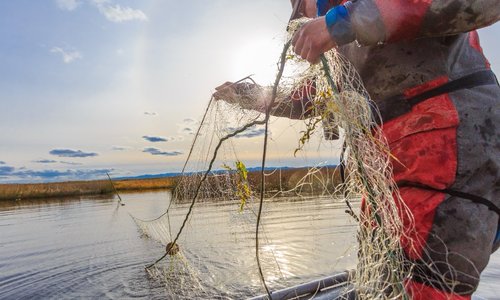 Крымские пограничники задержали рыбаков с тонной камбалы
