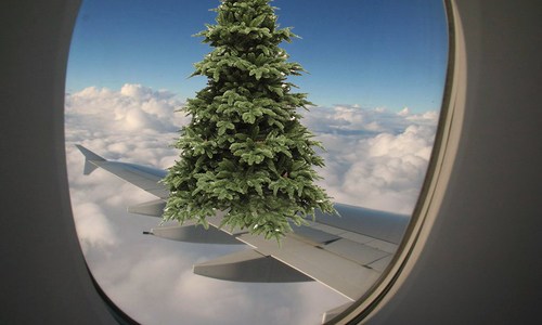 В аэропорту самая высокая елка. Но с оговоркой