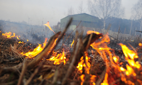 В Крыму пять дней будет пожароопасно