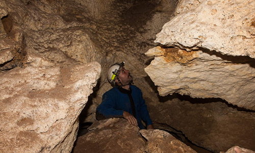Пещеру, найденную при постройке «Тавриды», передадут КФУ