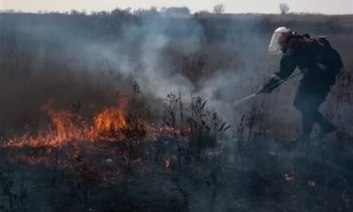 Каждые сутки в Крыму происходит тридцать пожаров