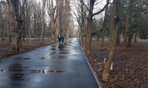 В Гагаринском парке создают новую аллею и пруд