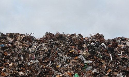 Между свалкой и жилым сектором в Каменке уберут мусор