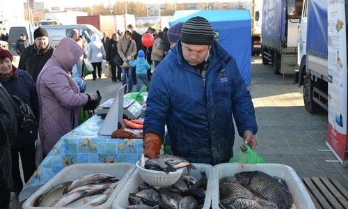 Керчь не исполнила рыбную мечту Аксенова