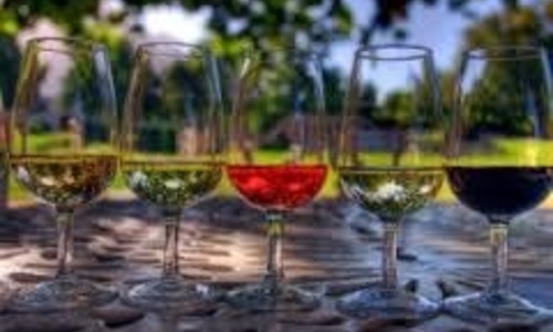 Продажи вина завода «Новый свет» упали на 90%
