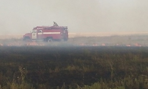 В Крыму за сутки сгорело семь гектаров полей