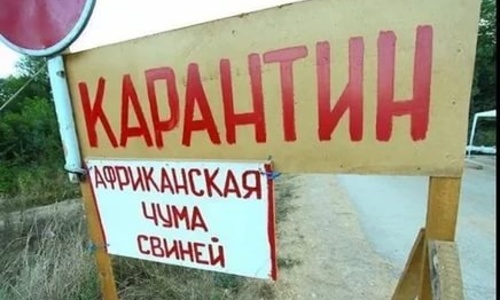 В Крыму ввели карантин
