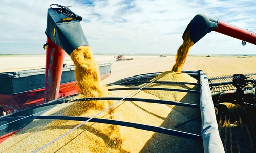 Госграница мешает украинской пшенице рекой литься в Крым