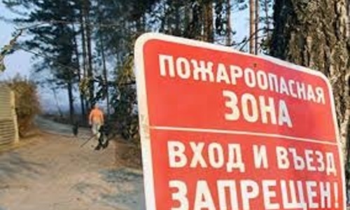 Крымчанам запретили ходить в леса