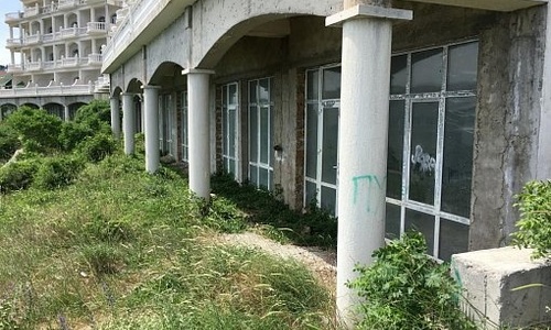 В апартаментах замминистра информации Крыма проросла трава