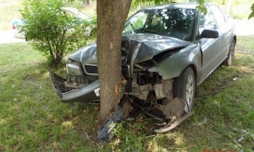Деревья стали причиной гибели трех человек на крымских трассах