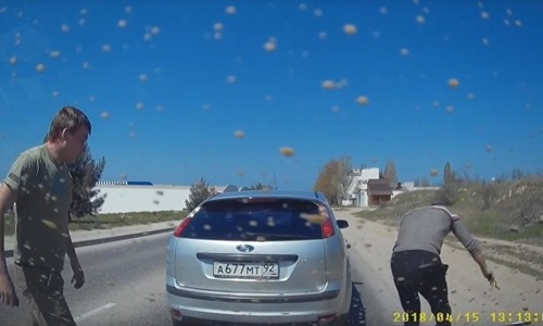 В Севастополе на дороге подрались водители