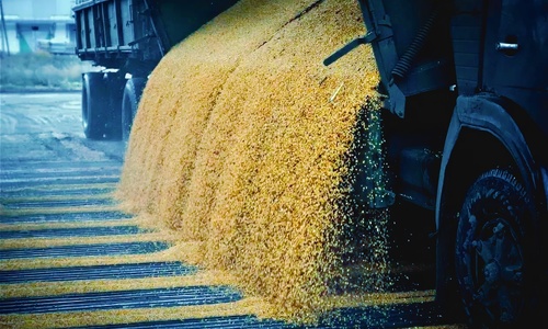 Из Херсона в Крым потянутся караваны с пшеницей