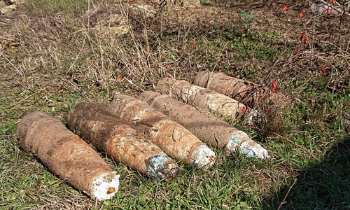 В Севастополе пенсионерка нашла на огороде снаряды ВОВ