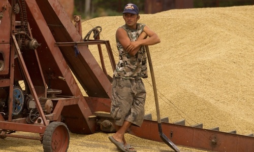 Севастополь поставит в Сирию 100 тысяч тонн зерна