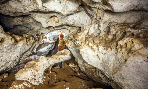 Бурение входа в пещеру завязло в коронавирусе