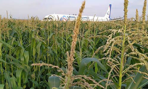Пассажирам «крымского кукурузника» выплачивают деньги