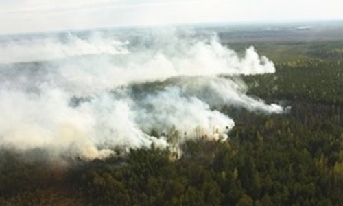 В Крыму ограничили походы в лес из-за опасности пожаров