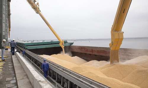 Российское зерно могут поставлять в Египет через Крым