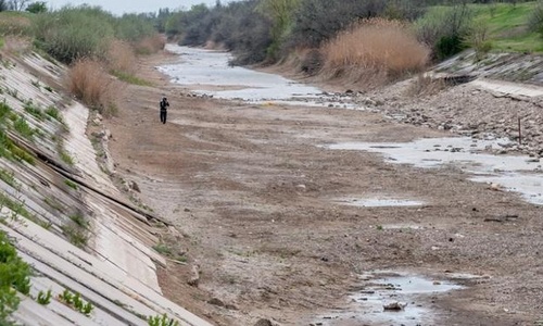 В Украине призывают пустить воду по Северо-Крымскому каналу