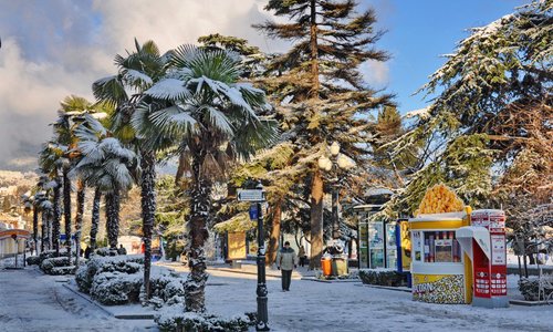 Ялта и Севастополь стали самыми популярными у туристов в праздники