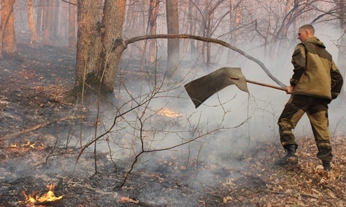 В Крыму ввели режим ЧС из-за лесного пожара
