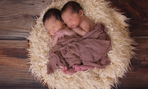 В Симферополе родилось рекордное количество близнецов