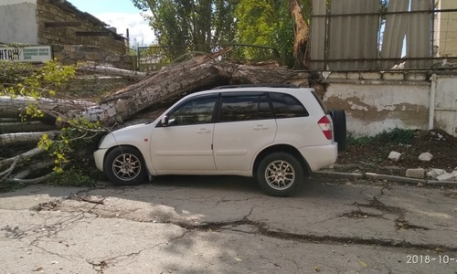 В Симферополе под упавшим тополем остались 4 машины