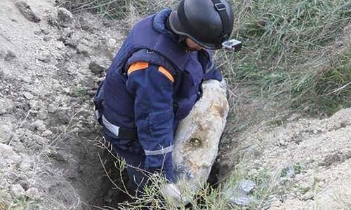 Севастопольские грибники нашли бомбу