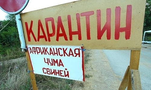 К борцам со свиной чумой в Крыму присоединились ополченцы