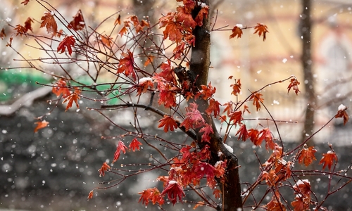 Завтра на Крым обрушатся сильные дожди, переходящие в снег