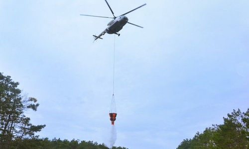 Лесной пожар в районе Ялты взят в кольцо спасателей