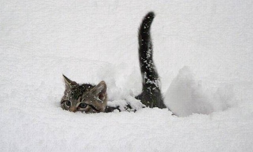 В Крыму ждут первый снег