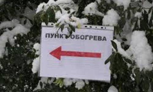 Крымских бездомных накормят и отогреют этой зимой