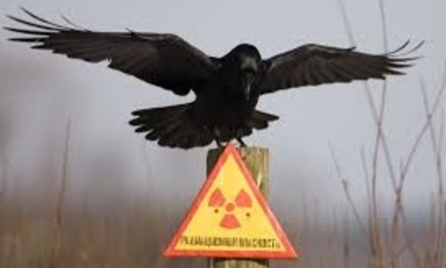 В Крым, возможно, прибыл груз с предупреждением «ядерная опасность»