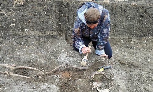 Археологи раскопали древний склеп с останками воинов