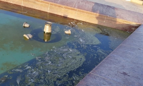 Из нового фонтана в парке Победы устроили болото