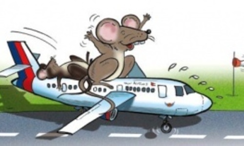 Мышь задержала на двое суток рейс Air France