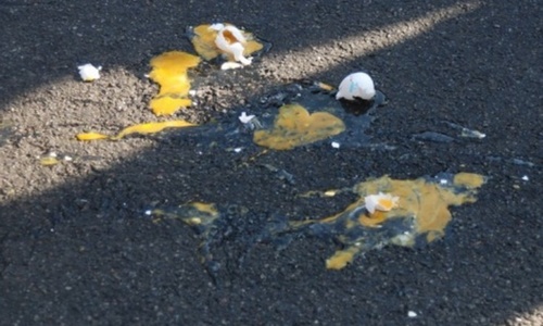 Протестуя против блокады, крымчане начали уничтожать яйца