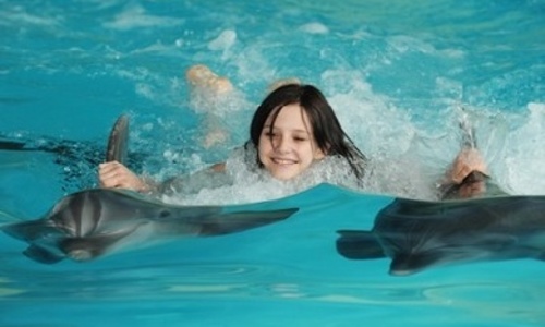 Дельфины Алушты будут оздоравливать инвалидов