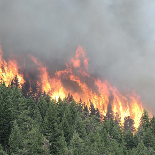 Как лесные пожары в Сибири повлияют на Крым