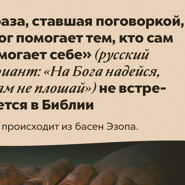 Просьба особый. Просьба особый