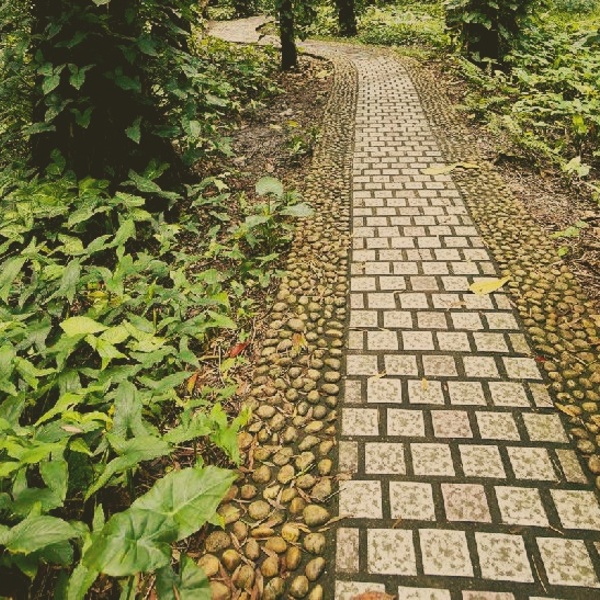 Аксенов велел уложить плитку на дорожках в крымских лесах
