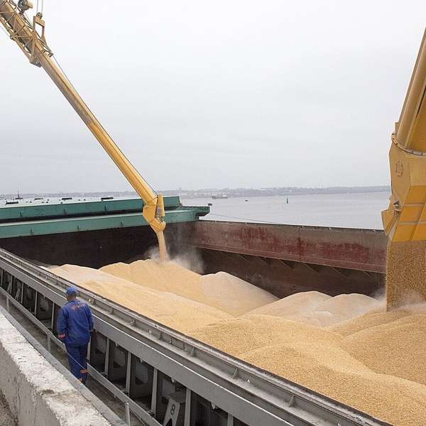 Российское зерно могут поставлять в Египет через Крым