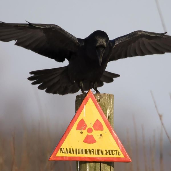 На границе с Крымом поставят радиоактивный щит